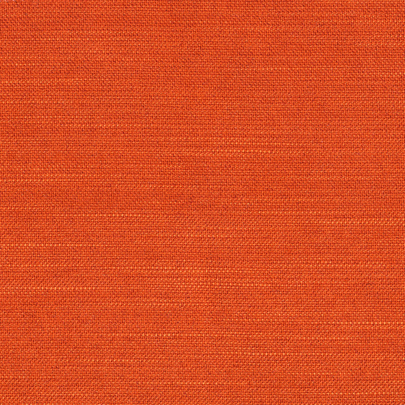 Innovation Living Neah Queen Size Sofa Bed with Standard Arms